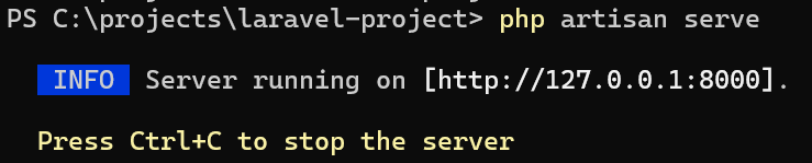 Salida de  con la URL del servidor de desarrollo