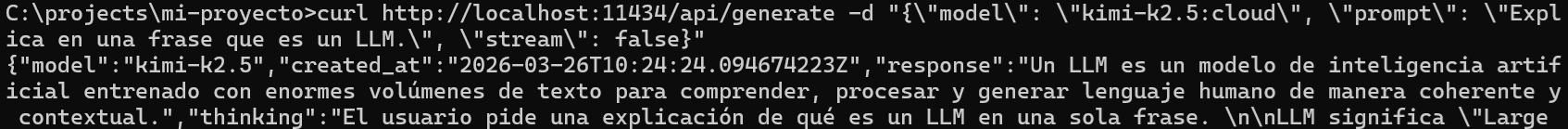 Respuesta única JSON de /api/generate con stream desactivado
