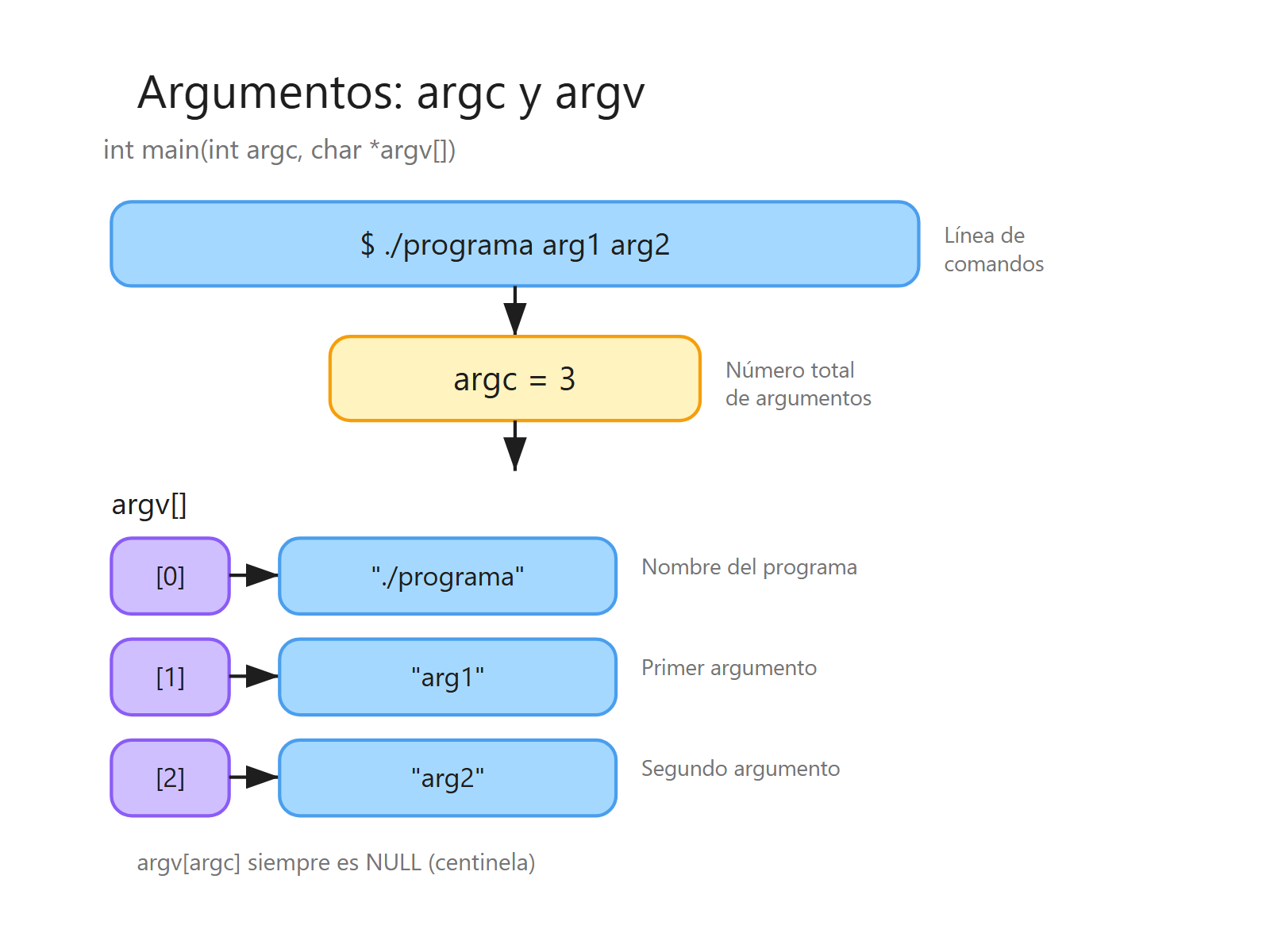 Argumentos de línea de comandos: argc y array argv