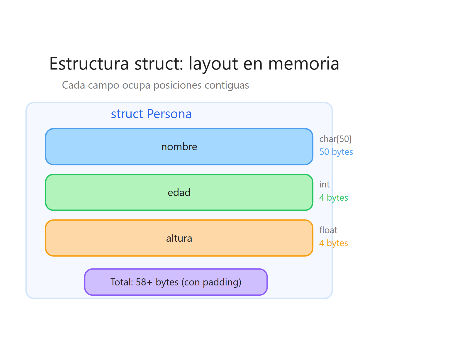 Distribución en memoria de los campos de un struct Persona