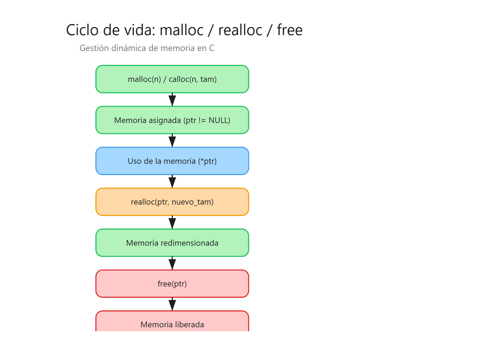 Ciclo de vida de la memoria dinámica: malloc, uso, realloc y free